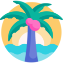 summertime,beach,summer,nature,tropical,botanical,palm tree